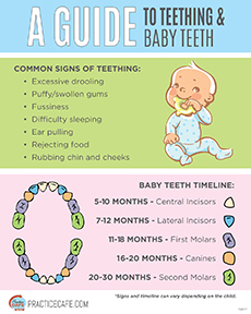 Guide to Teething