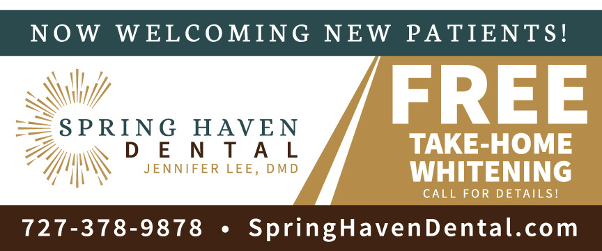 Lee - Spring Haven Dental Banner